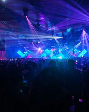 Kitty's Rave